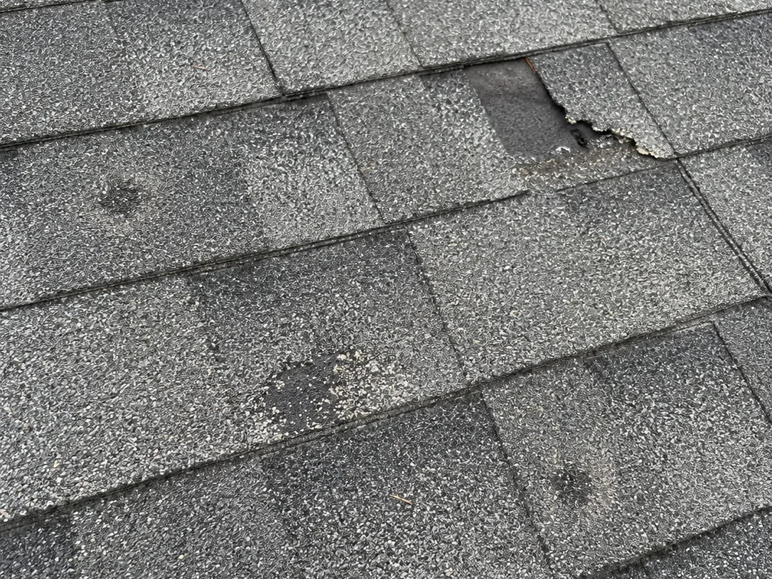Close-up of an asphalt shingle roof with a torn shingle tab and hail impact marks, photographed during an inspection